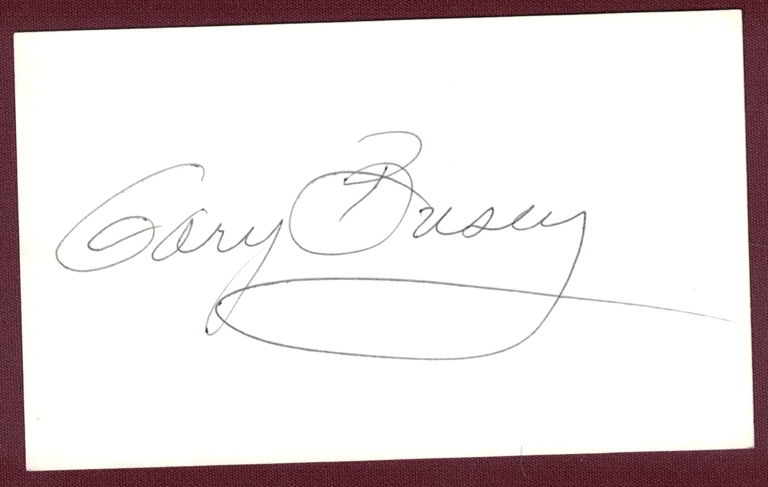 Gary Busey