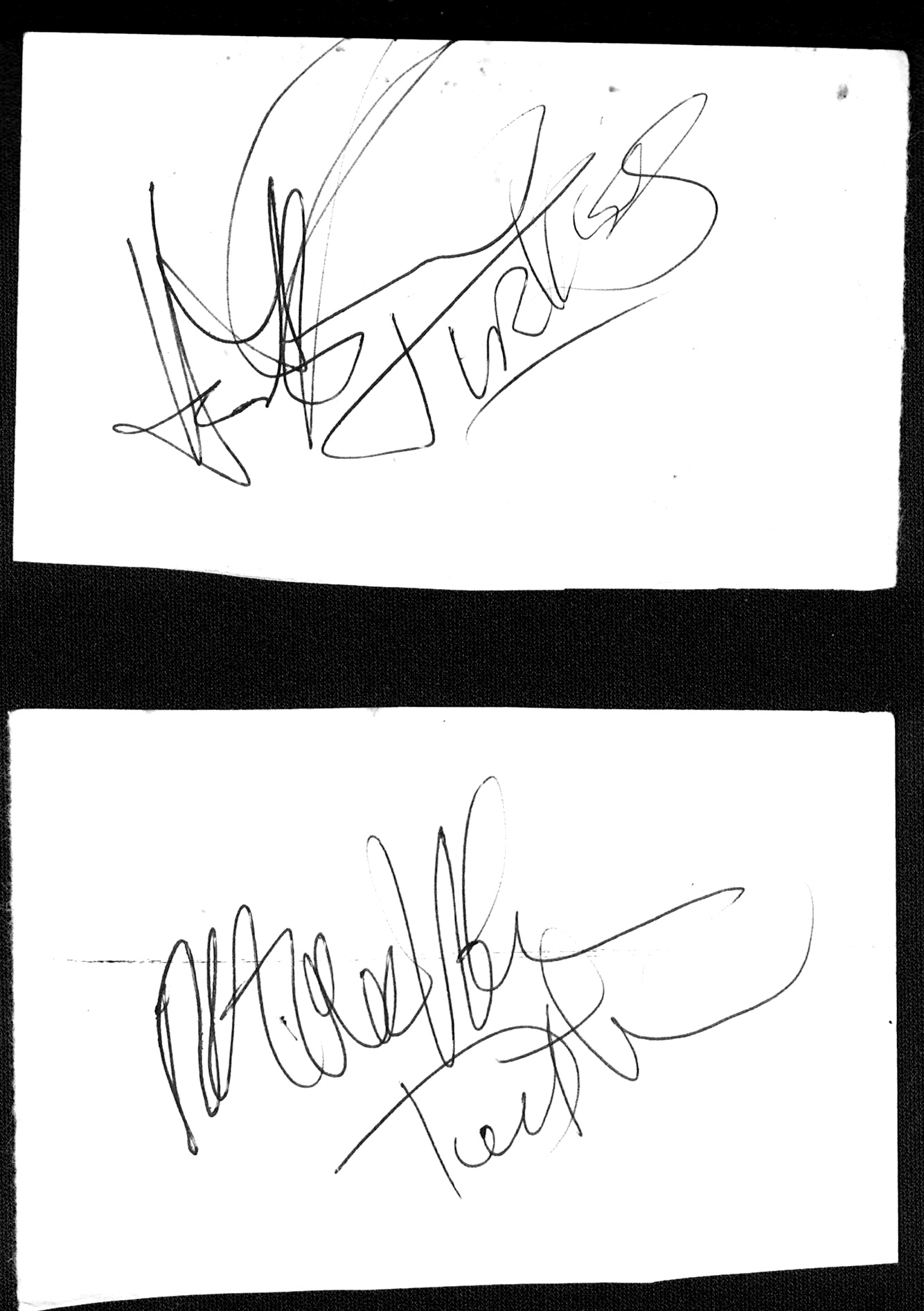 Turtles - Mark Volman and Howard Kaylan