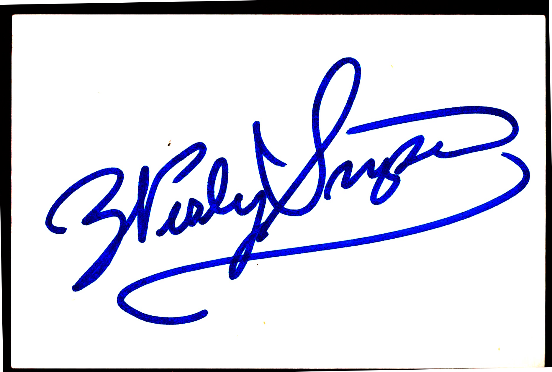 Wesley Snipes - Blade