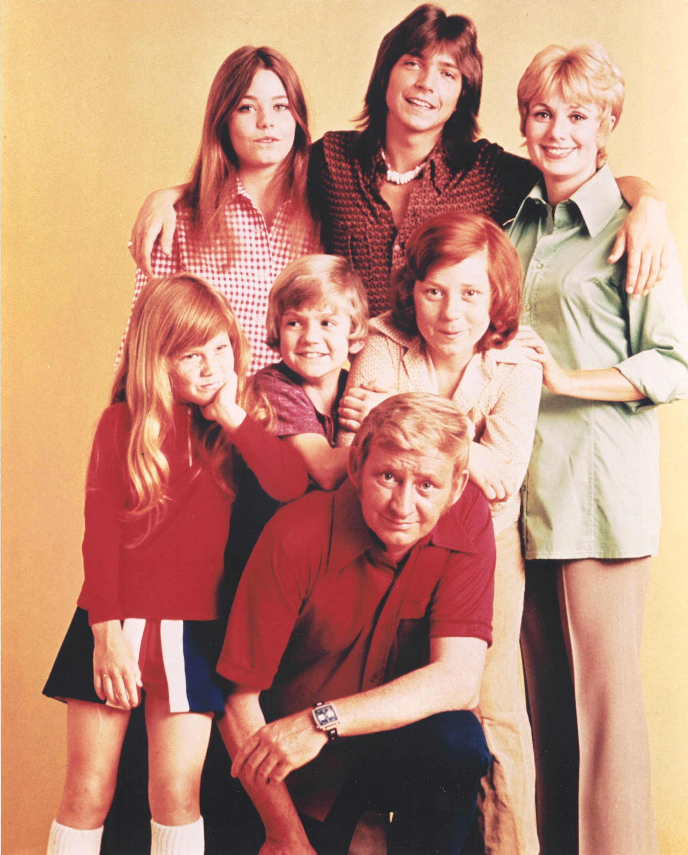 The Partridge Family - I Think I Love You