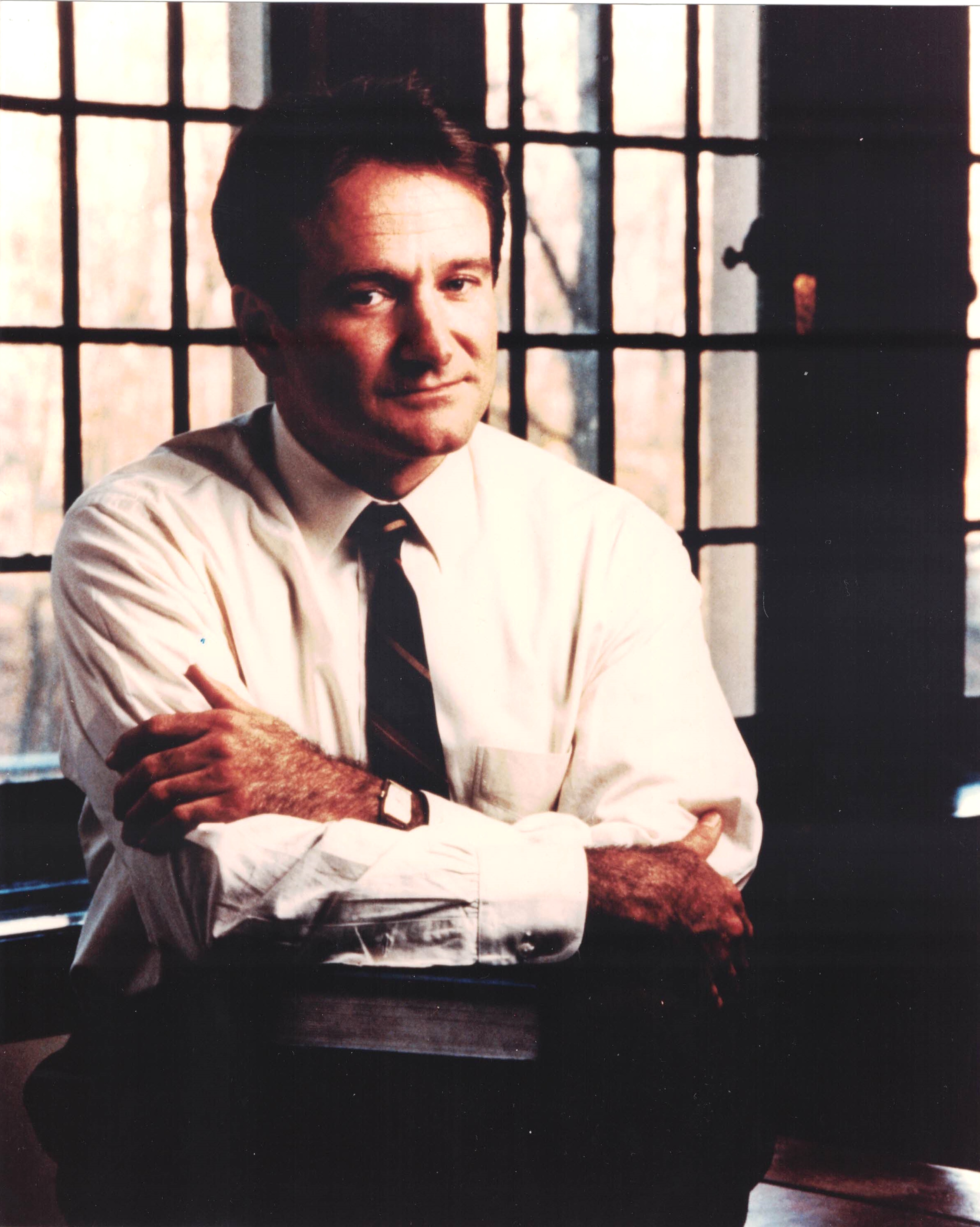 Robin Williams - Good Will Hunting
