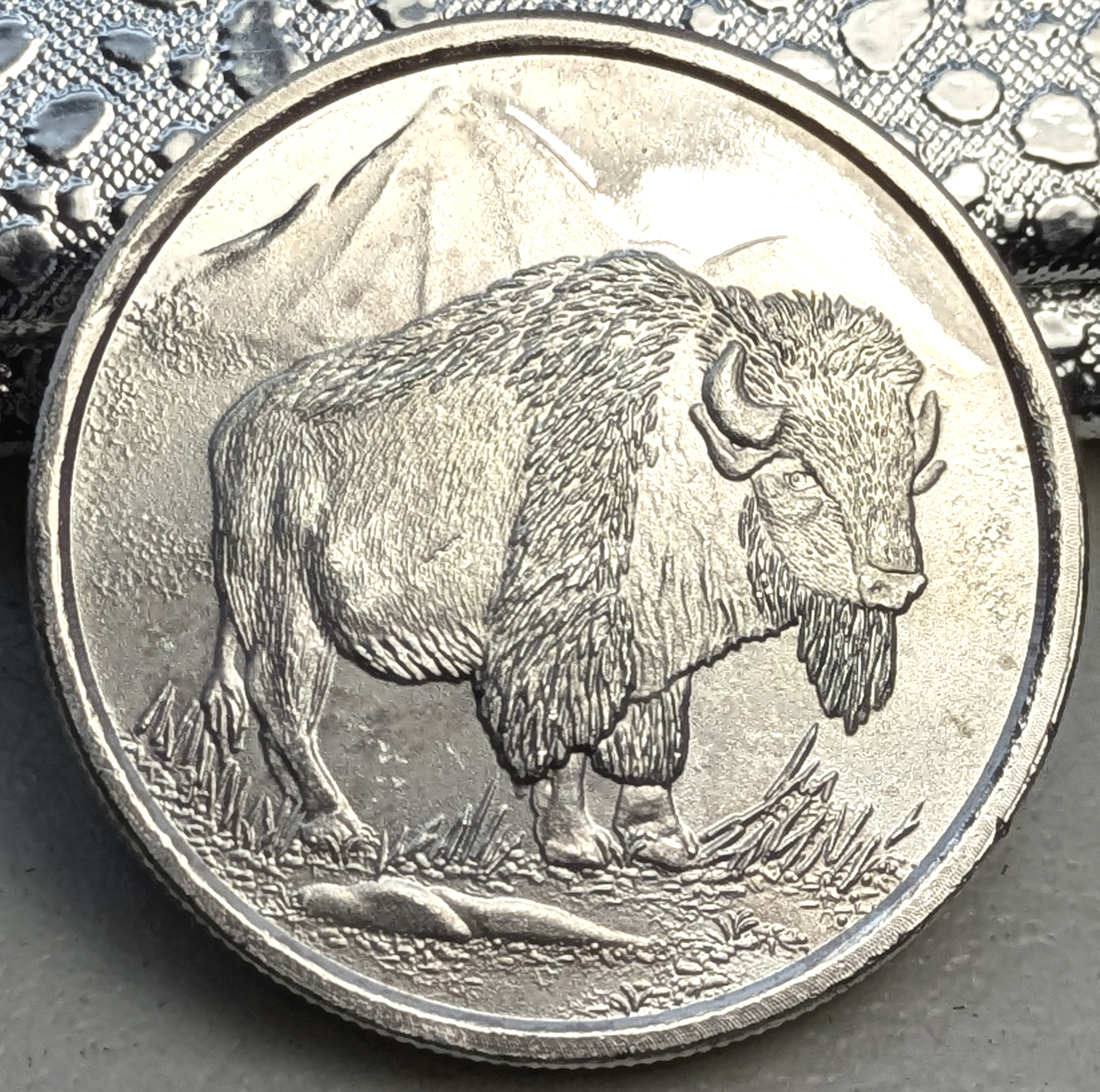 American Bison (Buffalo) .9999 fine silver round.